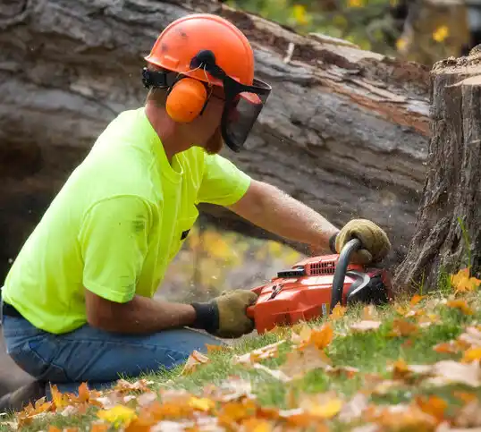 tree services Garden City